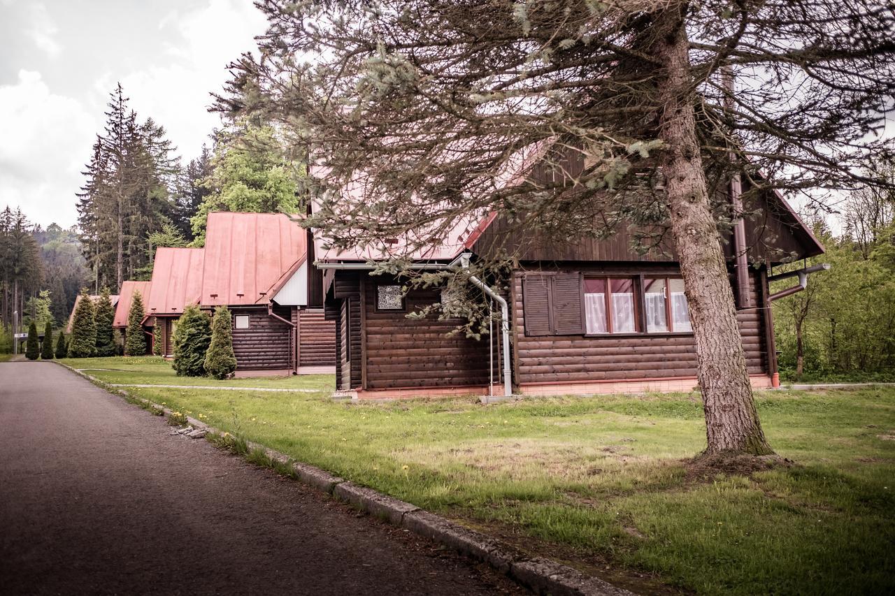 Villa Zlota Chatka à Zlaté Hory Extérieur photo